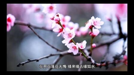 [图]《女人如花》