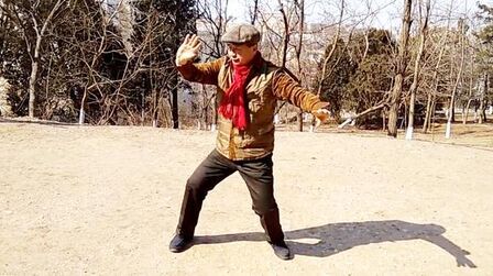 [图]公园里一位老师傅演练武术大师孙禄堂先生传的孙氏太极拳