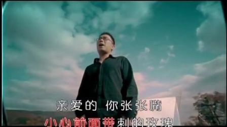 [图]曾经的经典回忆-时代金曲-庞龙-两只蝴蝶 -