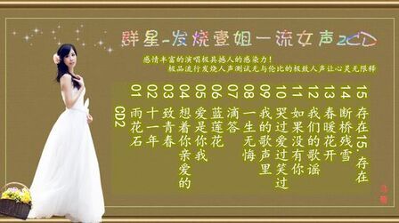 [图]群星-《发烧壹姐·一流女声》2CD