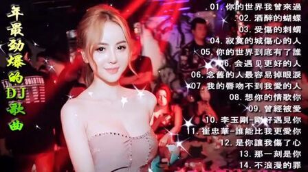 [图]DJ中文劲爆舞曲串烧,动感旋律,DJ车载音乐