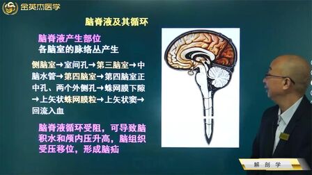 [图]临床知识01解剖学09神经系统07脑脊液的产生部位及其循环