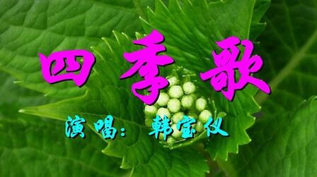 [图]韩宝仪一首经典歌曲《四季歌》好听极了