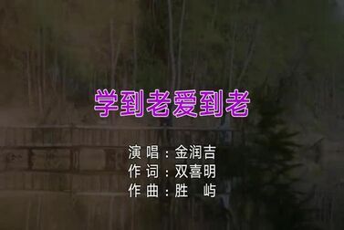 [图]金润吉-学到老爱到老-(电视剧《双世宠妃》片尾曲)