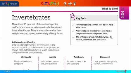 [图]Biology 37 Invertebrates 无脊椎动物 跟常荣学生物学 英文版 4K