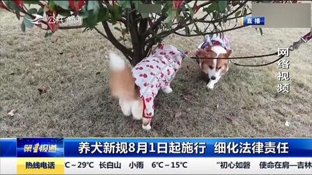 [图]养犬新规将于8月1日施行,明确法规适用范围,细化法律责任