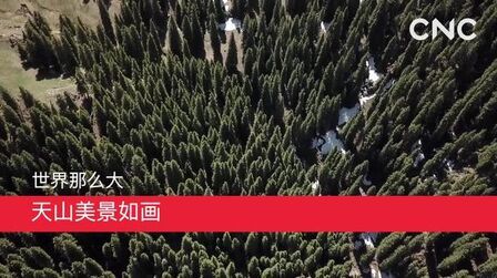 [图]世界那么大|天山美景如画