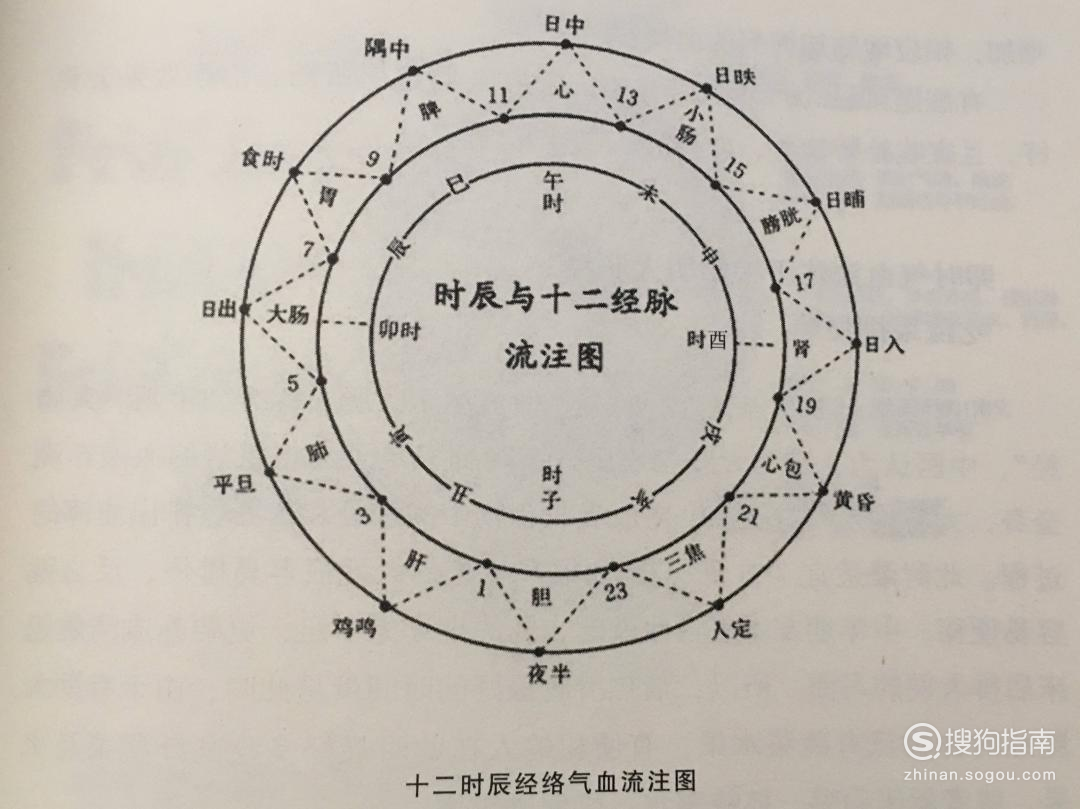 人体十二经络24小时运行时间表是怎么样的