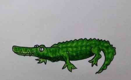 鳄鱼画法教程怎么画鳄鱼如何画鳄鱼简笔画