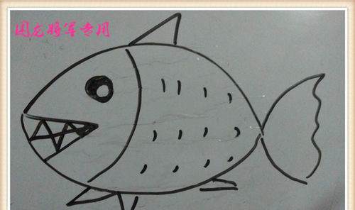 儿童简笔画之小鱼怎么画