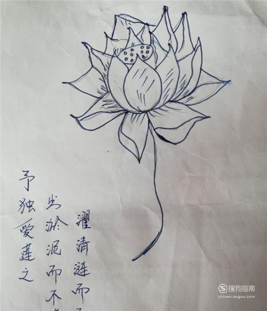 如何画简易的莲花