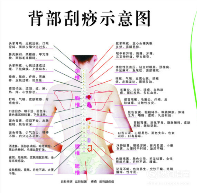 中医刮痧拔罐自学教程