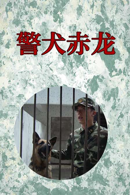 警犬赤龙(2012)电视剧 - 更新至23/共24集剧情介绍 - 南瓜剧情网