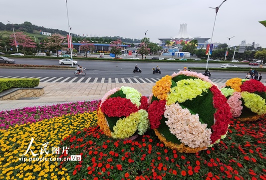 广西南宁:盛装迎接东博会(7) 第7页