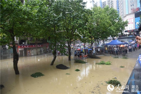 湖北恩施:暴雨持续 州城多处低洼地被淹(2) 第2页