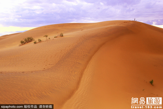 记录宁夏印象 感受西北塞上江南 第1页