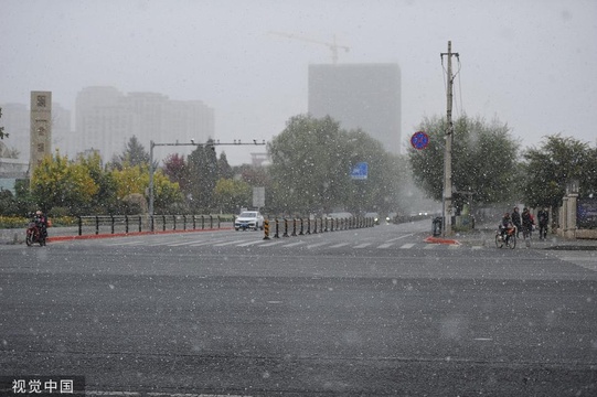 长春迎来今秋冬以来首场降雪 大片雪花纷纷落下 第1页