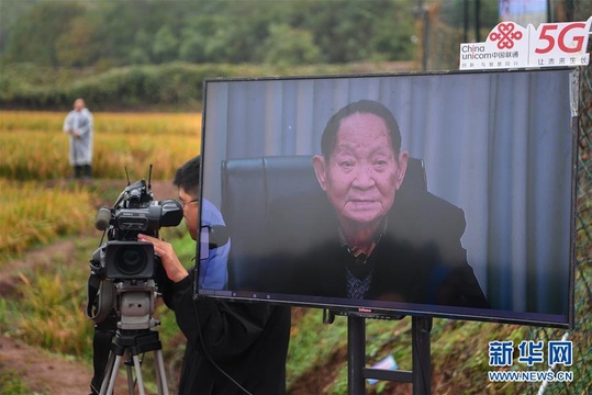 袁隆平团队杂交水稻双季亩产突破1500公斤(3) 第3页