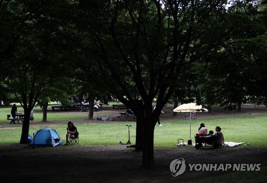 韩国首尔林公园夏季绿色盎然 吸引市民前往纳凉(5) 第5页