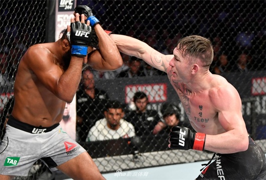 UFC243精彩集锦 阿迪萨亚一统中量级冠军(14) 第14页