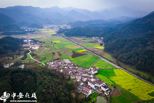 芜湖霭里:十里油菜盛开绘自然之“爱”(2) 第2页