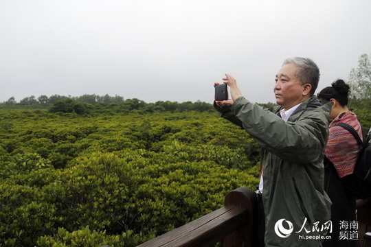 湿地融媒行走进海口潭丰洋和东寨港 美景惹人醉(6) 第6页