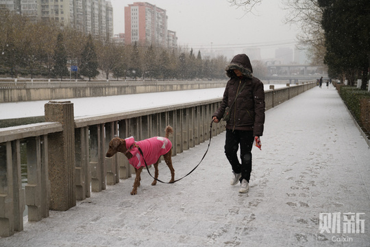 北京降雪节后“开工” 雪中京城银装素裹(18) 第18页