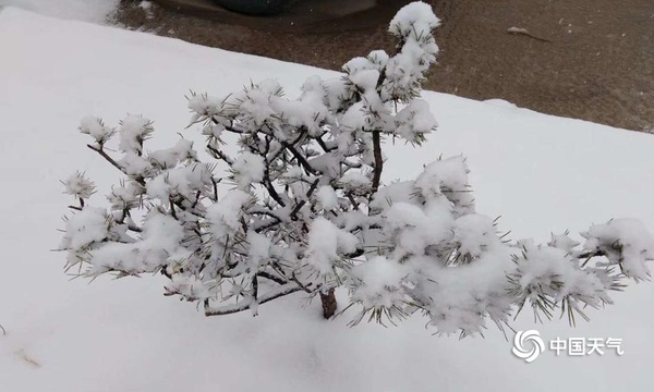 河北迎来大范围雨雪天气 保定山区降大雪 第1页