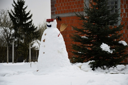 克罗地亚学校关闭 堆雪人成小学生家庭作业(5) 第5页