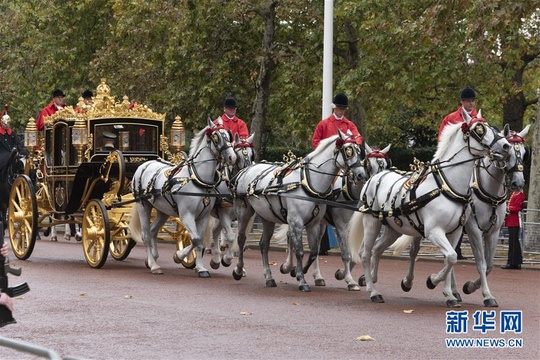 英女王出席英国新一届议会开幕仪式(5) 第5页