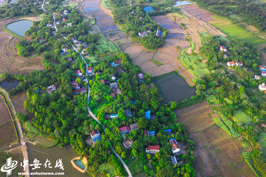 枞阳:乡村大地披新绿 美好生活入画来 第1页