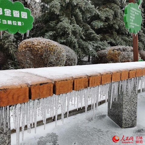 吉林省:积极应对冰冻雨雪天气!【组图】(8) 第8页