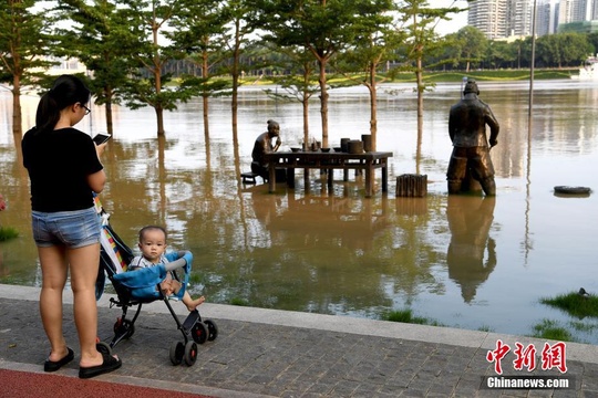 广西南宁城区江水暴涨 两岸步道被淹没 第1页