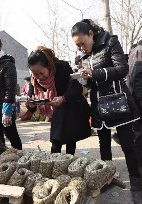 崇明芦花靴:曾经的御寒神器 今难觅踪影 第1页