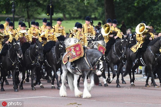 伦敦举行皇家阅兵庆典庆祝英国女王生日,皇室成员齐齐亮相(4) 第4页