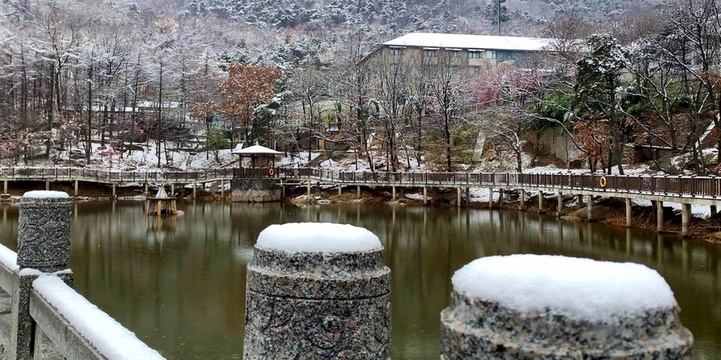 沂蒙山迎来今冬首雪 银装素裹 美不胜收 第1页