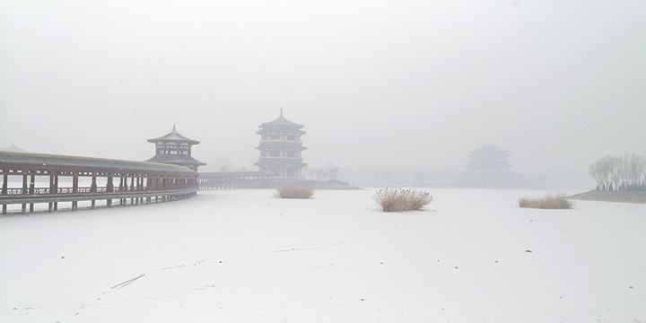 宁夏灵武迎来2020年第一场雪 第1页