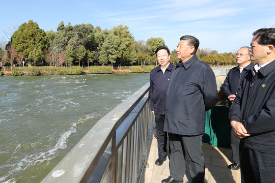 习近平察看滇池生态湿地 第1页