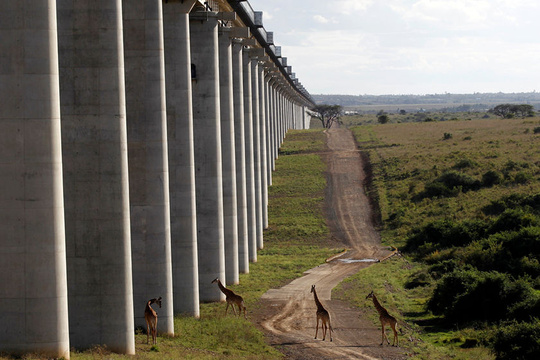 中企承建的肯尼亚内马铁路一期通车(5) 第5页