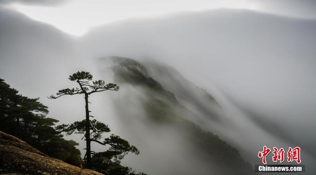 雨后黄山现罕见“瀑布流云” 宛如水墨画卷(3) 第3页