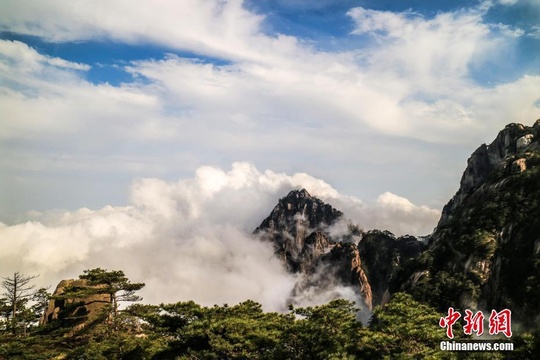 安徽黄山:阴雨过后云雾缭绕 风景更奇绝 第1页