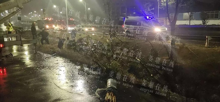 姜堰一轿车连撞四棵大树后车毁人亡 第1页