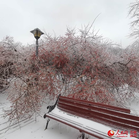 吉林省:积极应对冰冻雨雪天气!【组图】(9) 第9页