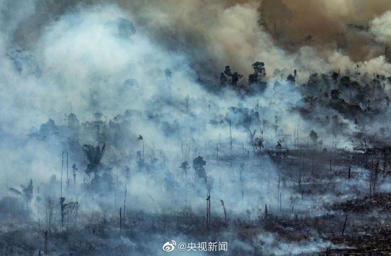 揪心!亚马孙雨林着火点超7万处(3) 第3页