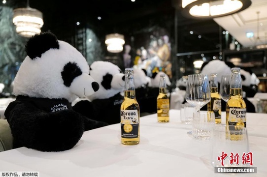 德国持续“封城” 餐厅老板摆满大熊猫玩偶当顾客(2) 第2页