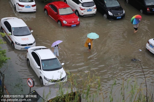 江苏丰县遭遇特大暴雨 城区部分路段积水严重(5) 第5页