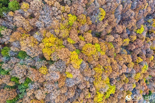 陕西洛南:抚龙湖秋景迷人(6) 第6页