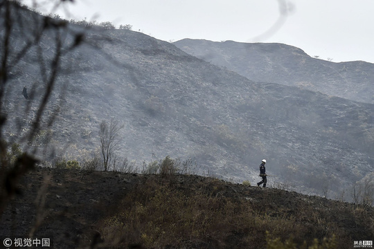 哥伦比亚森林火灾破坏严重 森林成焦土 第1页