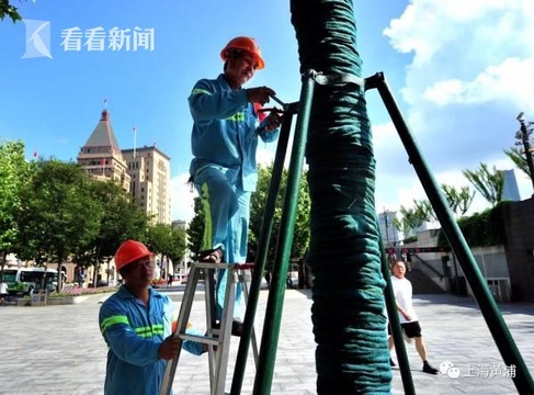 黄浦严阵以待 应战台风“安比” 第1页