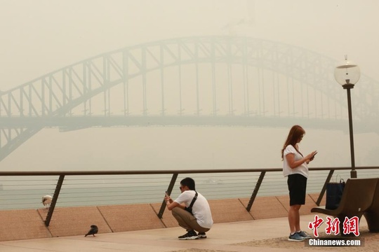 澳大利亚东部山火持续肆虐 悉尼被烟尘笼罩(5) 第5页